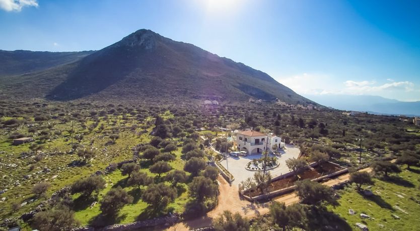 Photo of The Lotus Flower