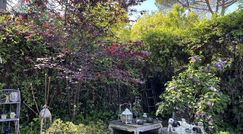 Photo of Il Giardino