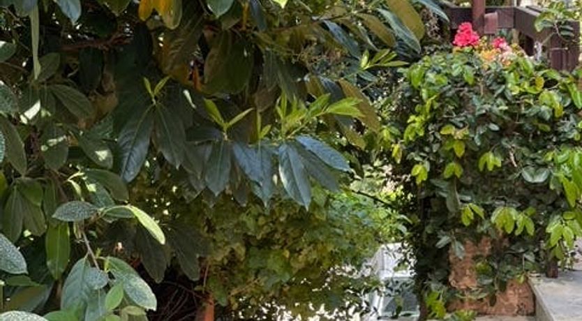 Photo of Il Giardino