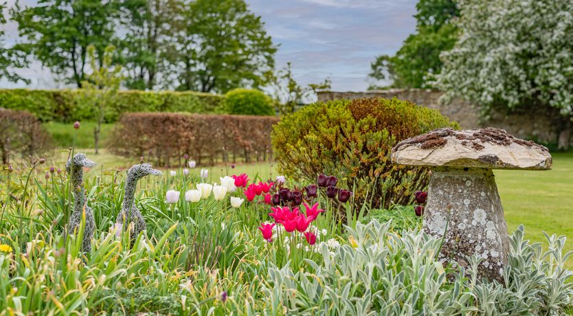 Photo of Round & Round The Garden