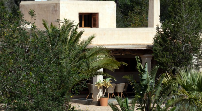 Photo of Almond Flower