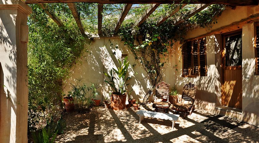 Photo of Almond Flower