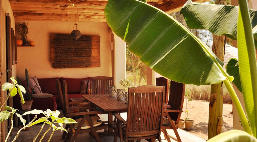 Photo of Almond Flower