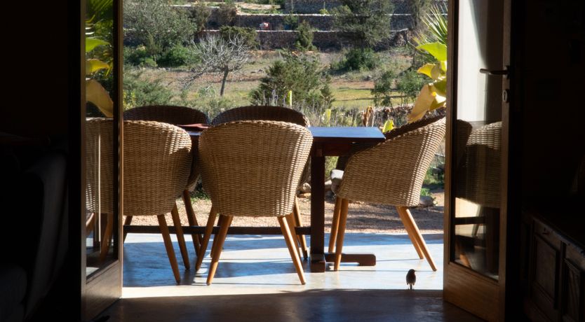 Photo of Almond Flower