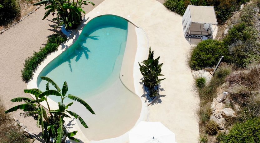 Photo of Almond Flower