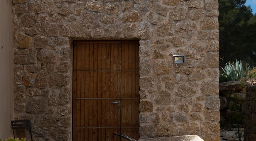 Photo of Almond Flower