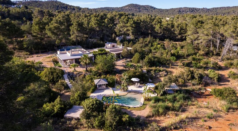 Photo of Almond Flower