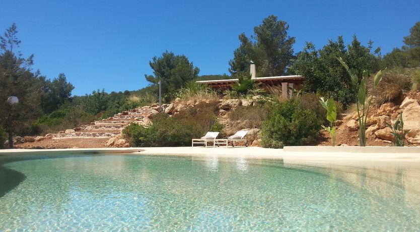 Photo of Almond Flower