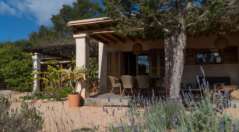 Photo of Almond Flower