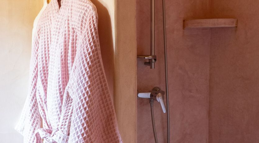 Photo of Almond Flower