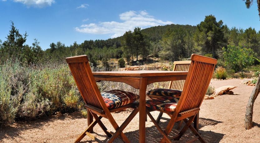 Photo of Almond Flower