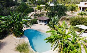 Photo of Almond Flower