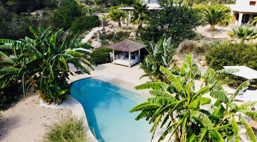 Photo of Almond Flower