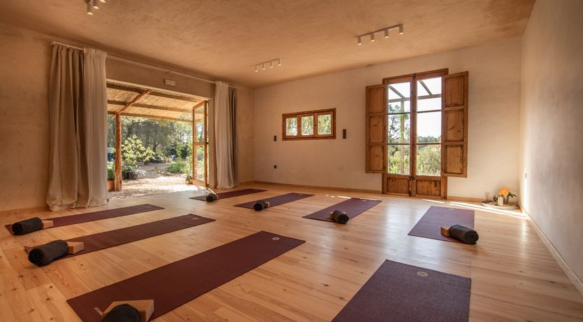 Photo of Almond Flower