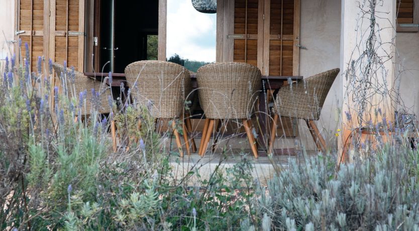 Photo of Almond Flower