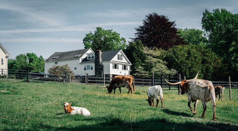 Photo of Mystic Countryside Farm
