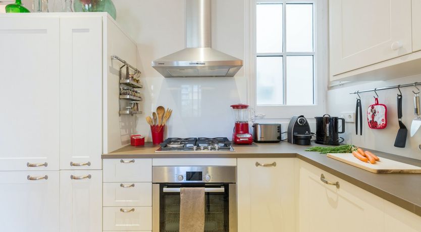 Photo of Catalonian Jasmine