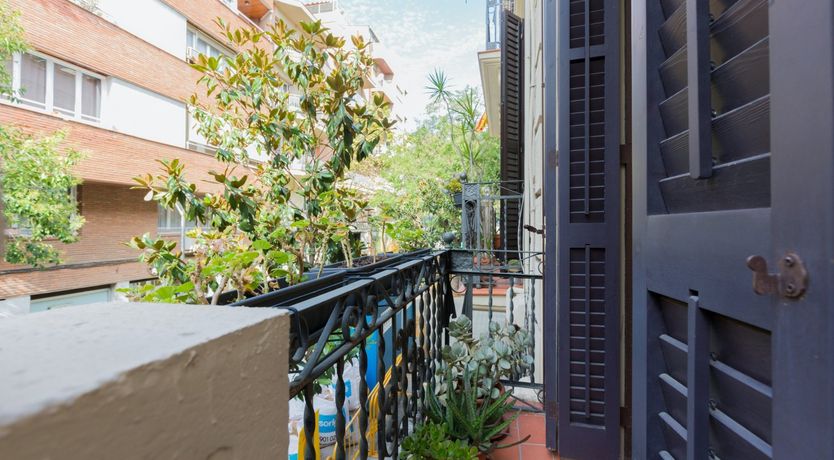 Photo of Catalonian Jasmine