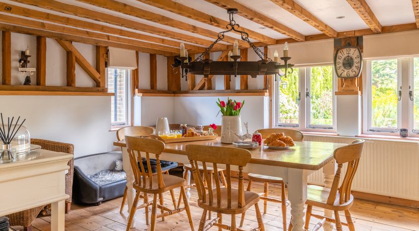 Photo of The Rose in Bloom