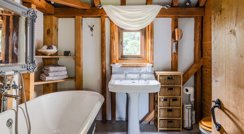 Photo of The Rose in Bloom