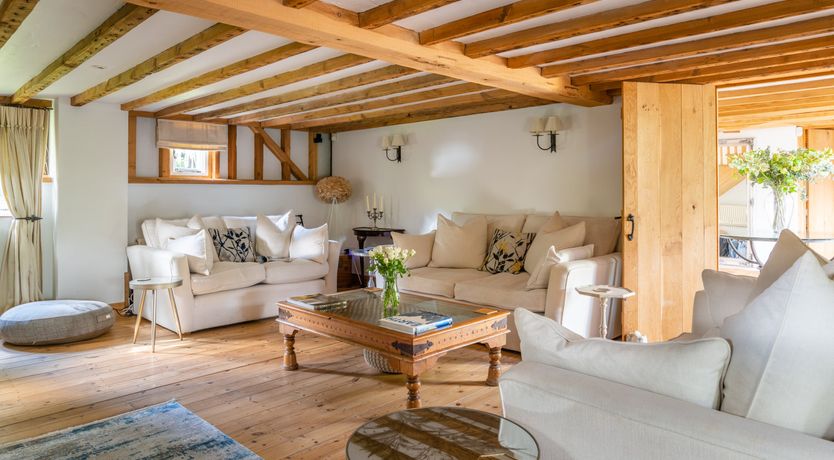 Photo of The Rose in Bloom