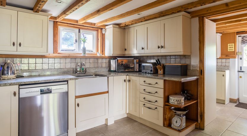 Photo of The Rose in Bloom