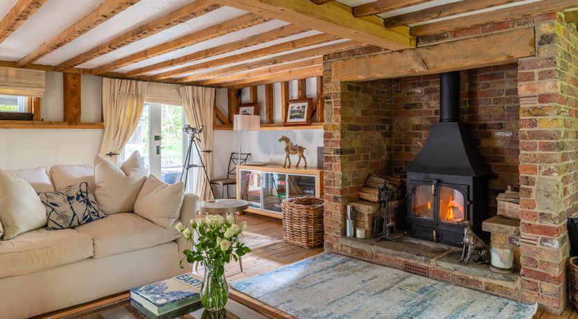 Photo of The Rose in Bloom