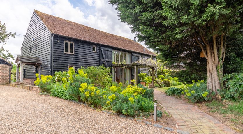 Photo of The Rose in Bloom