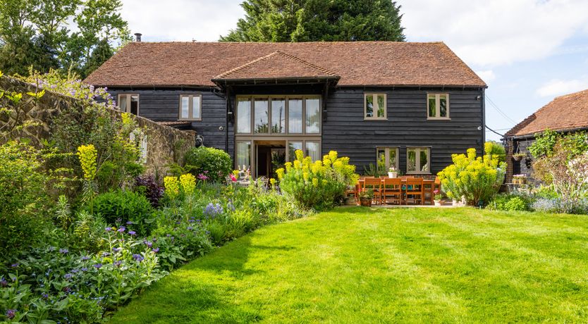 Photo of The Rose in Bloom