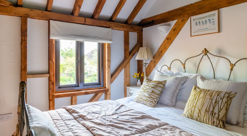 Photo of The Rose in Bloom