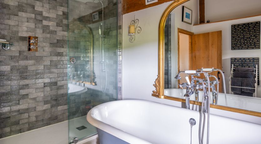 Photo of The Rose in Bloom