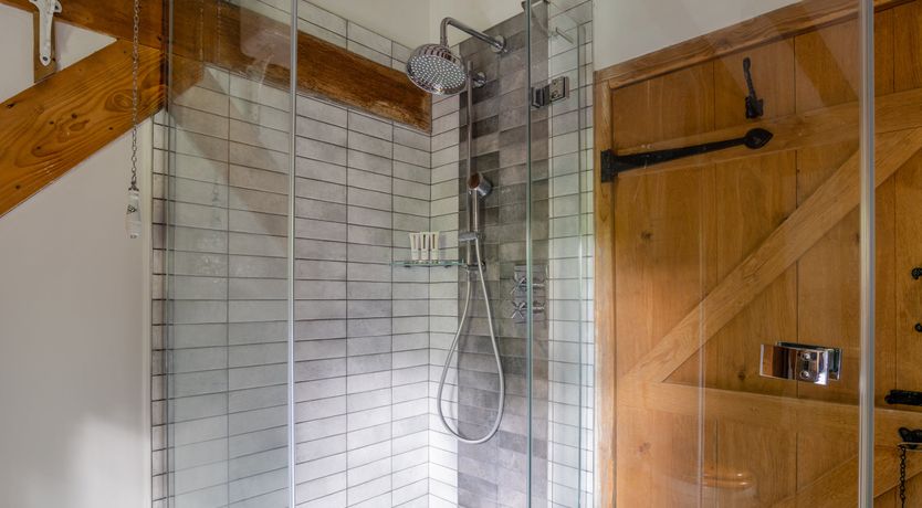 Photo of The Rose in Bloom