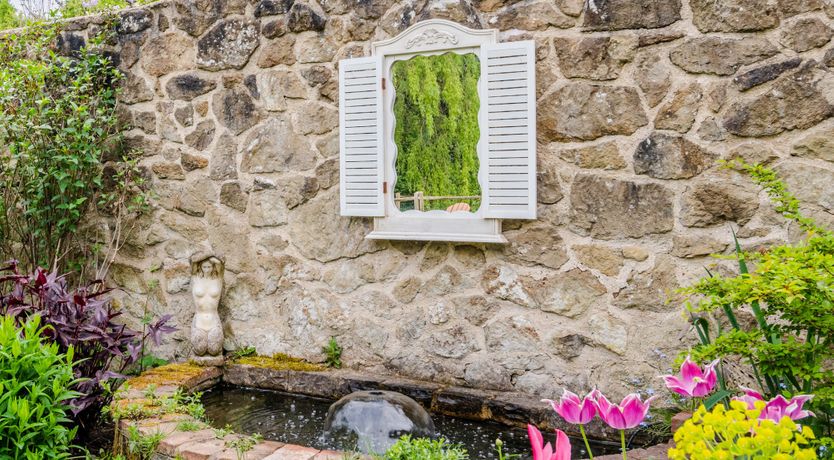 Photo of The Rose in Bloom