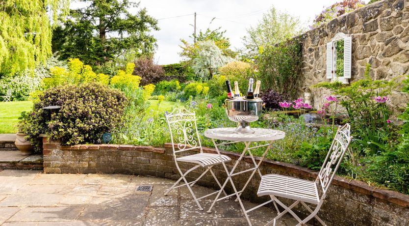 Photo of The Rose in Bloom