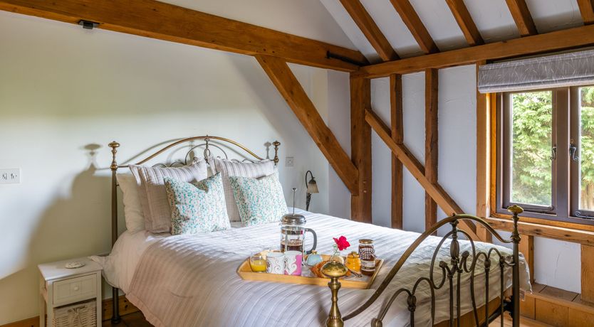 Photo of The Rose in Bloom