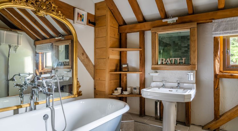 Photo of The Rose in Bloom