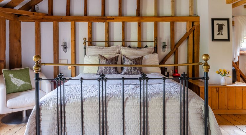 Photo of The Rose in Bloom