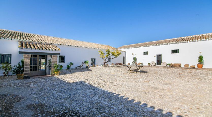 Photo of Fertile Imagination