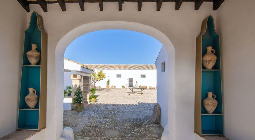 Photo of Fertile Imagination