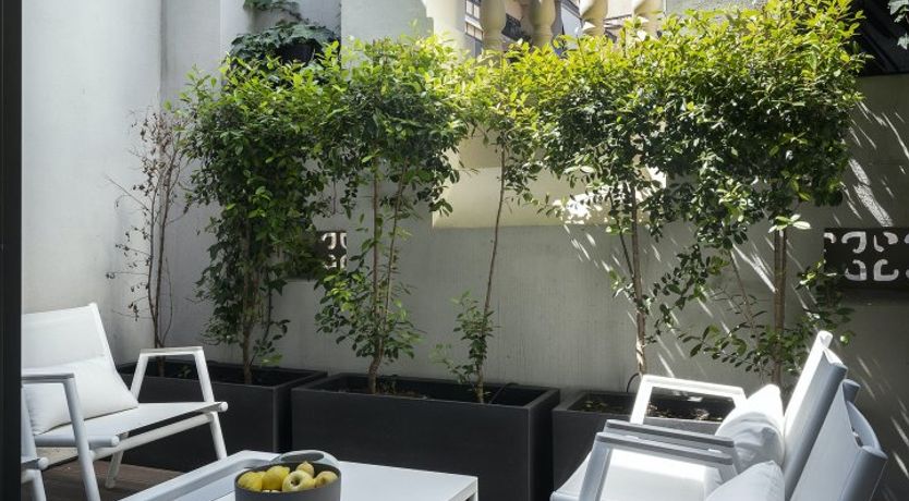 Photo of Saffron Light