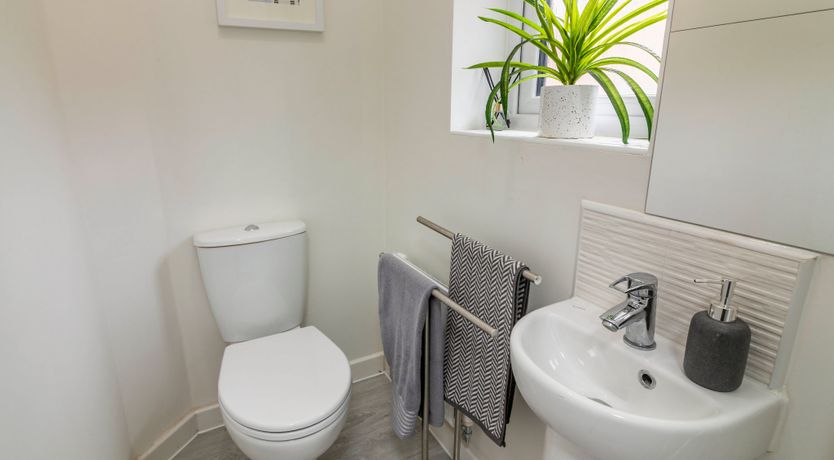 Photo of A Robin's Footsteps