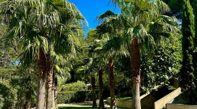 Photo of Be Our Guest