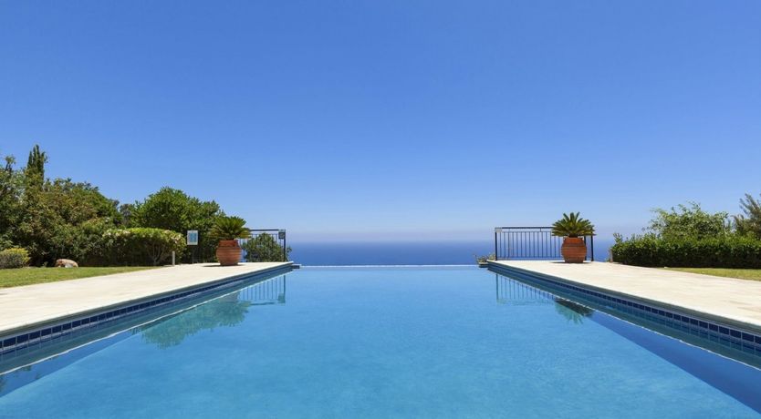 Photo of Blushing Aphrodite