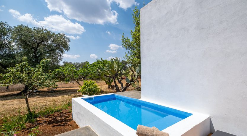 Photo of Under The Puglian Sun