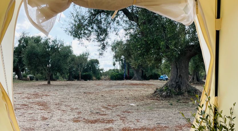 Photo of Under The Puglian Sun