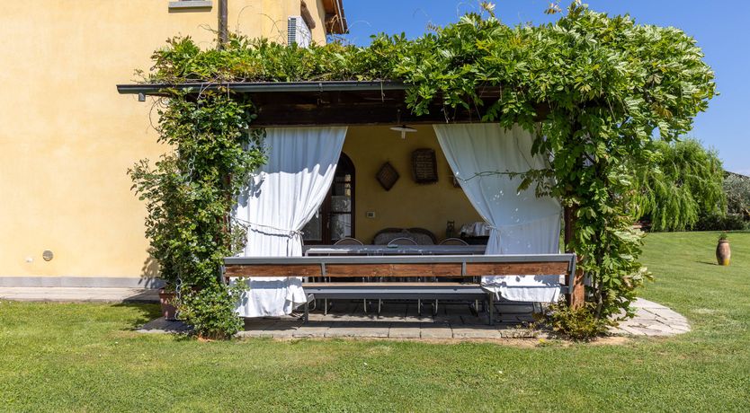 Photo of Tuscan Rose