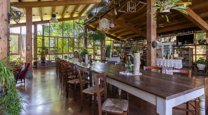 Photo of Tuscan Rose