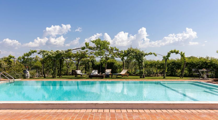 Photo of Tuscan Rose