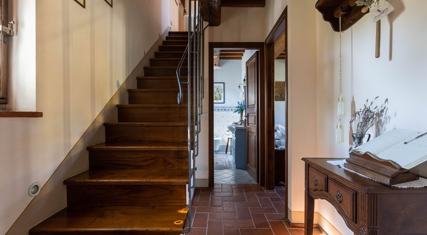 Photo of Tuscan Rose