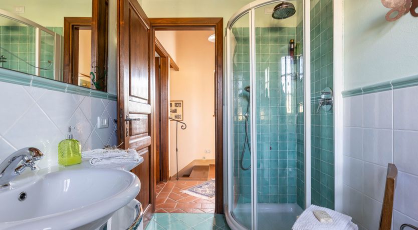 Photo of Tuscan Rose